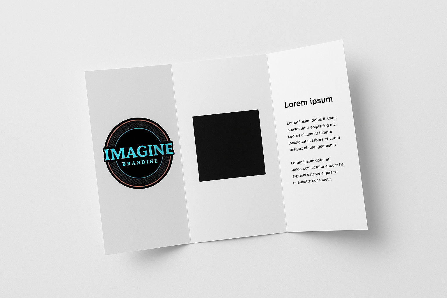 Promotional Tri Folds (50)